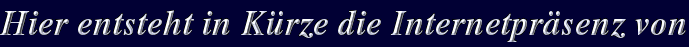 Hier entsteht in Kürze die Internetpräsenz von